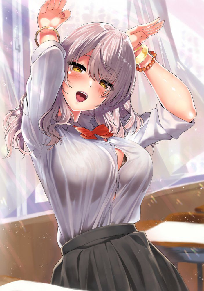 【Secondary】Silver Hair and Gray Hair Girl Image Part 7 46