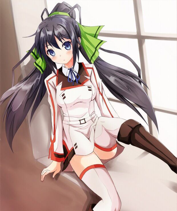 Free erotic image summary of Shinonono broom that can be happy just by looking! (Infinite Stratos) 11