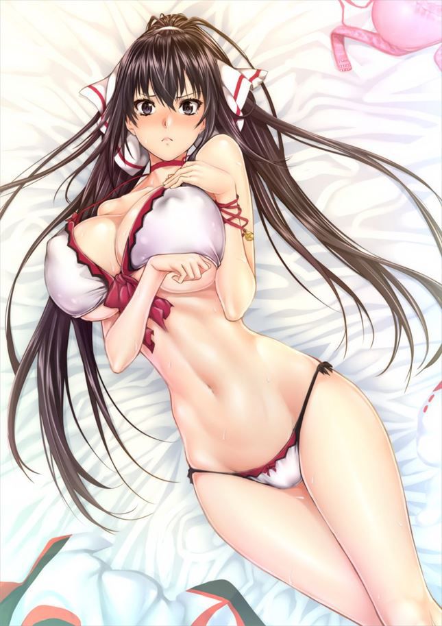 Free erotic image summary of Shinonono broom that can be happy just by looking! (Infinite Stratos) 19