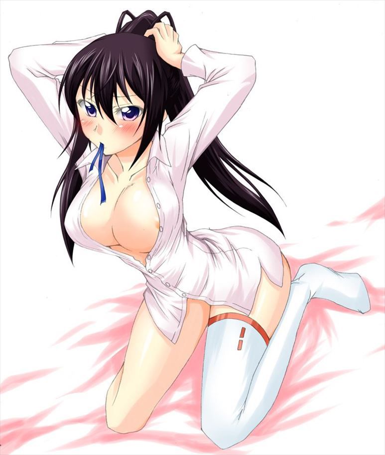 Free erotic image summary of Shinonono broom that can be happy just by looking! (Infinite Stratos) 21