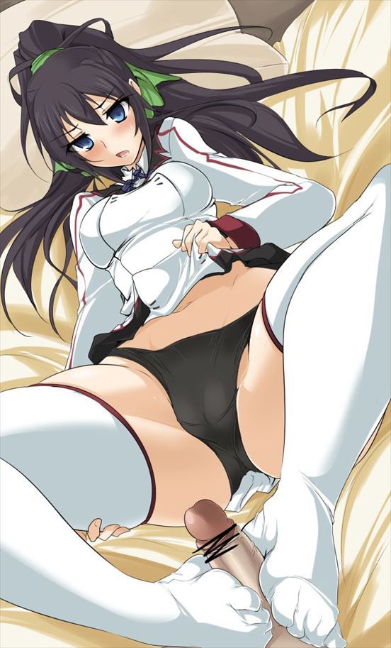 Free erotic image summary of Shinonono broom that can be happy just by looking! (Infinite Stratos) 32