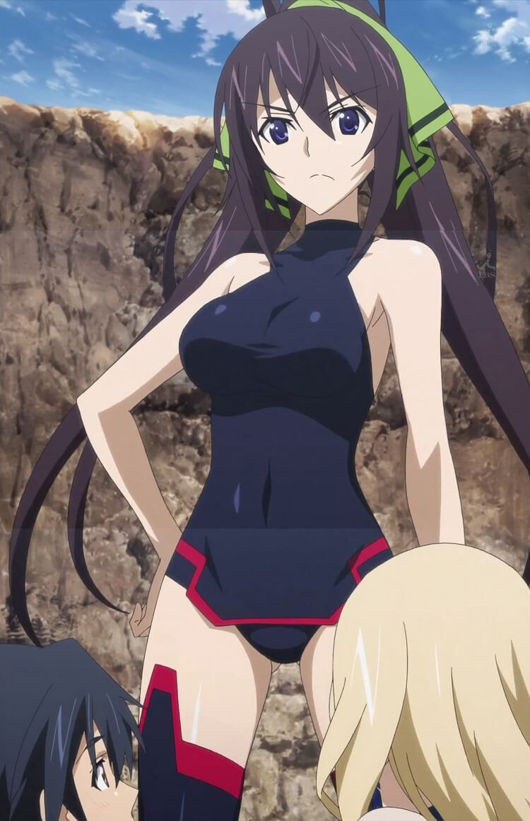 Free erotic image summary of Shinonono broom that can be happy just by looking! (Infinite Stratos) 8