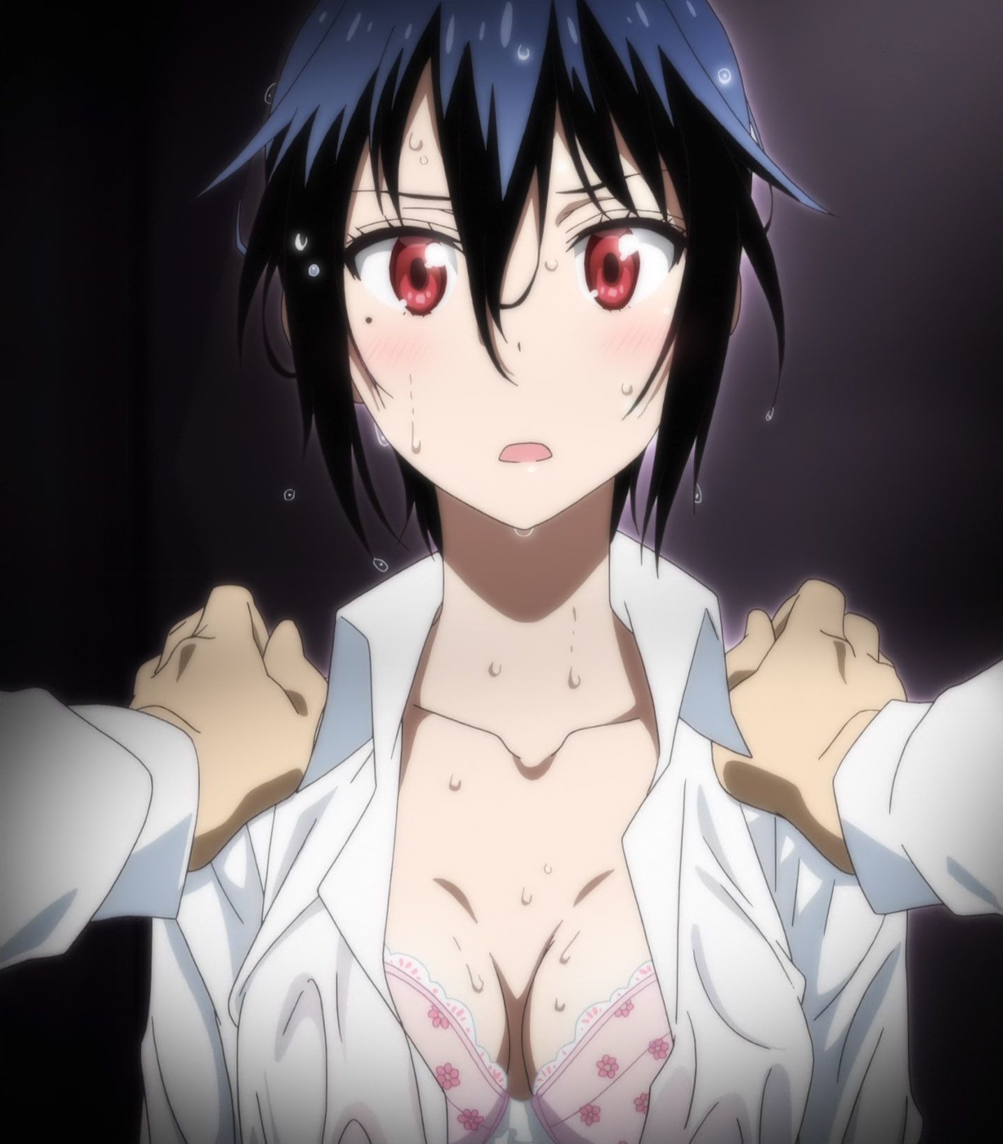 Let's be happy to see the erotic images of Nisekoi! 19