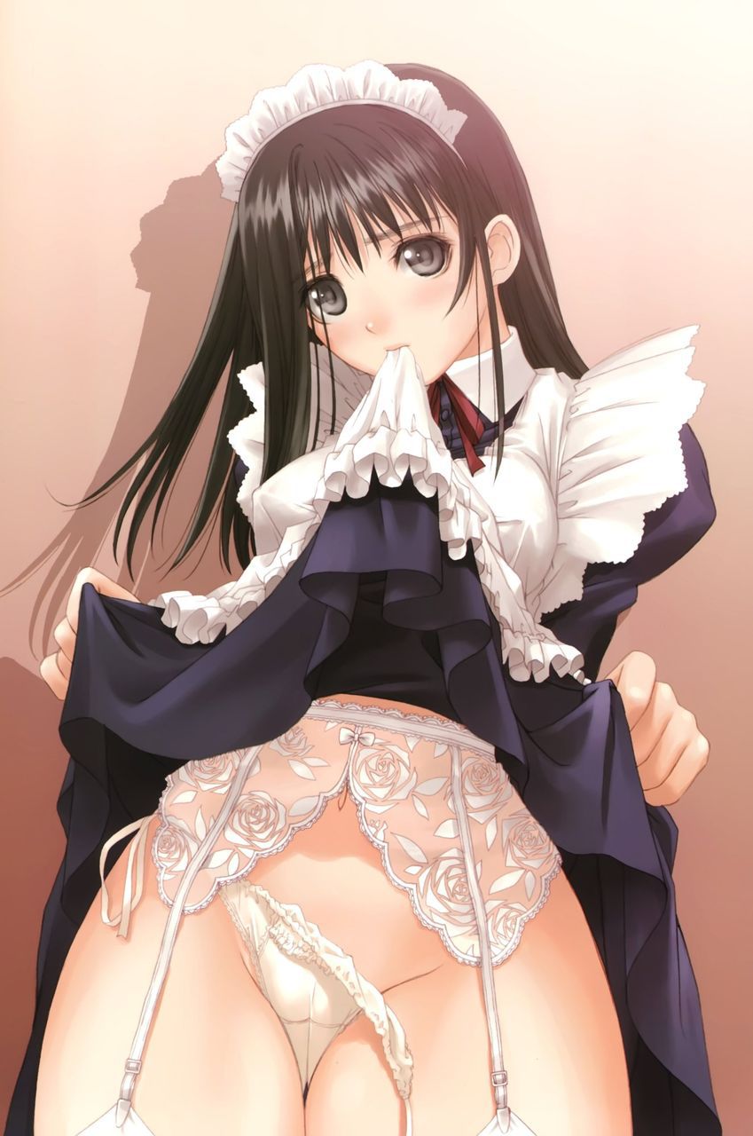 Cute Maid's Erotic Image Summary 70 Sheets Part 1 12