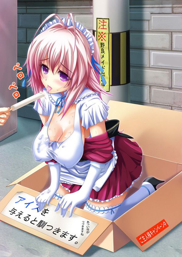 Cute Maid's Erotic Image Summary 70 Sheets Part 1 68