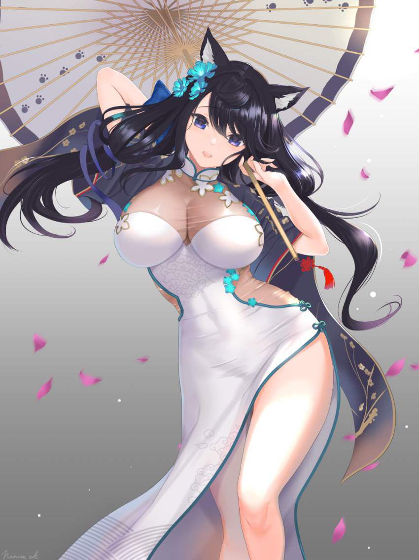 I tried collecting erotic images of Azur Lane 20