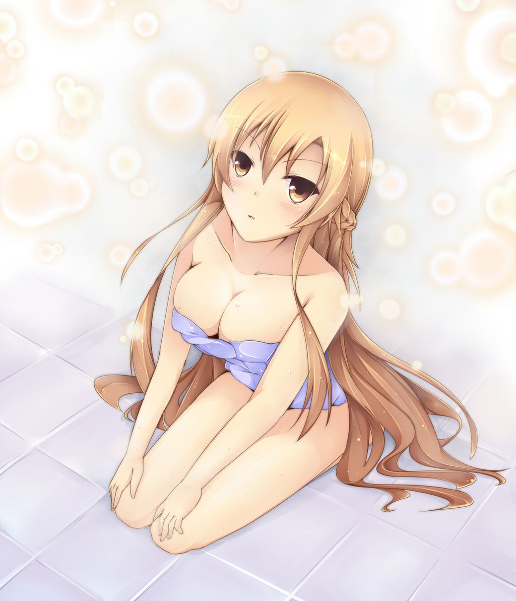 SAO Asuna's erotic image summary 70 pieces 14