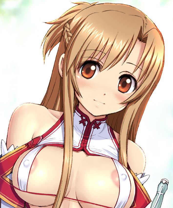 SAO Asuna's erotic image summary 70 pieces 19