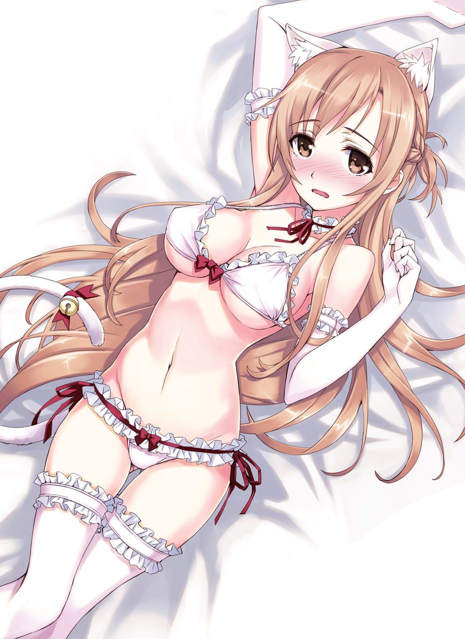 SAO Asuna's erotic image summary 70 pieces 21