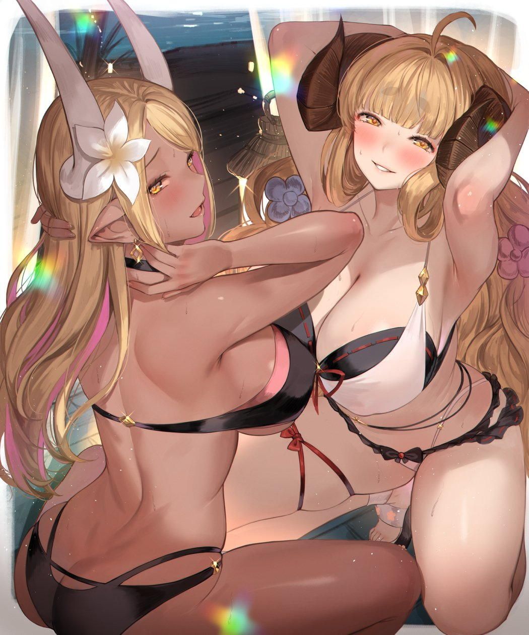 Granblue Fantasy Erotic Image Assing 5