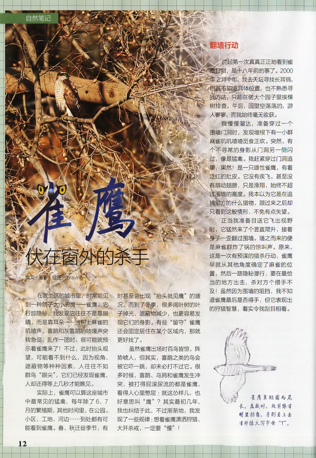 Museum Magazine March 2018 《博物》杂志2018年3月 14