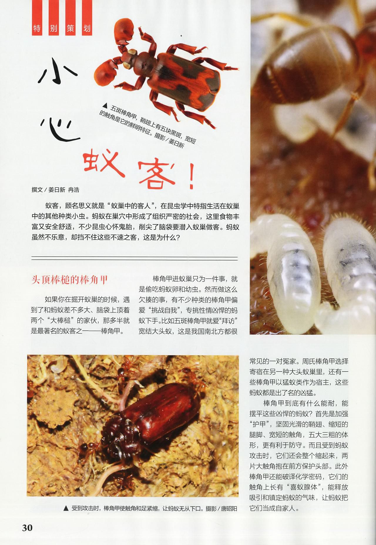 Museum Magazine March 2018 《博物》杂志2018年3月 32