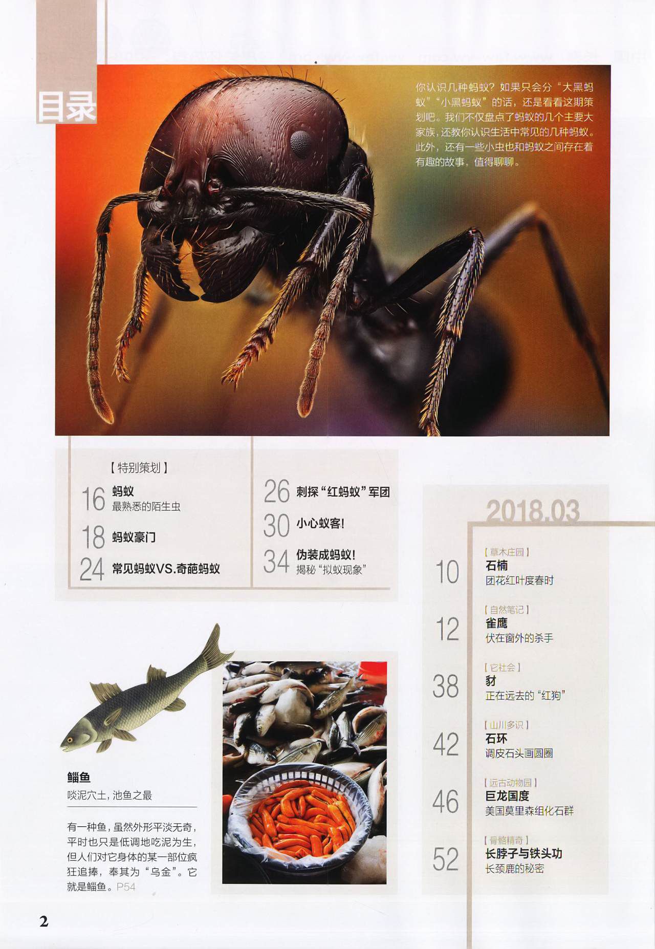 Museum Magazine March 2018 《博物》杂志2018年3月 4