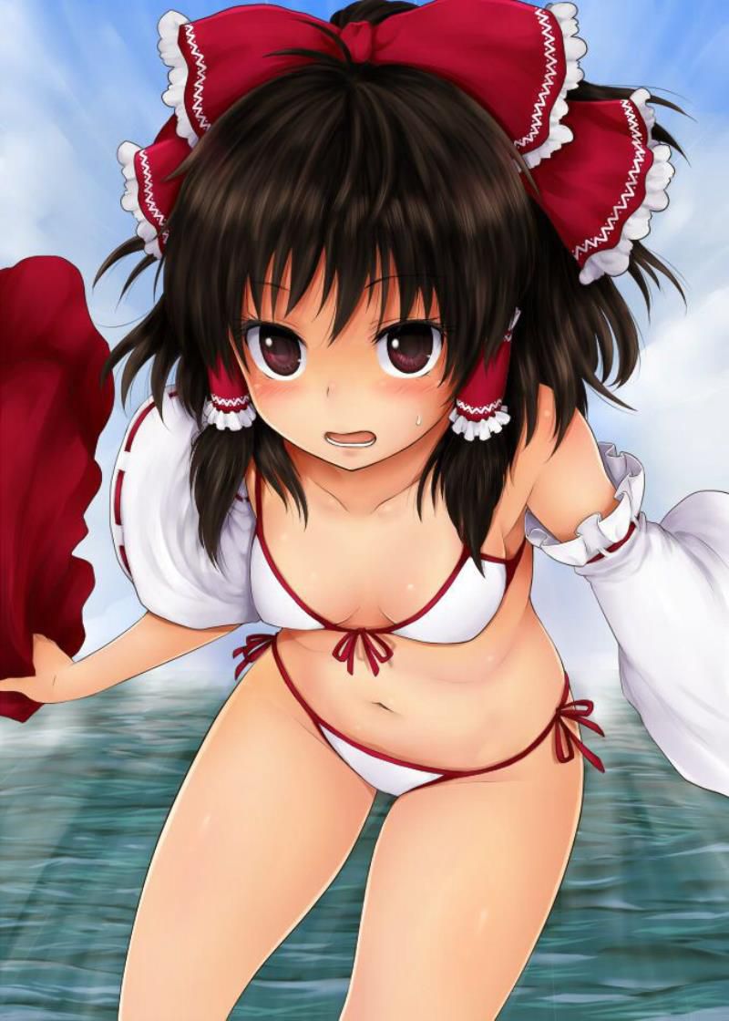 I'll post it because I collected erotic images of Touhou Project 28