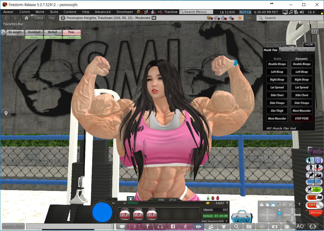 Extreme muscle girls by Artist Devsir00 (pixiv) 43
