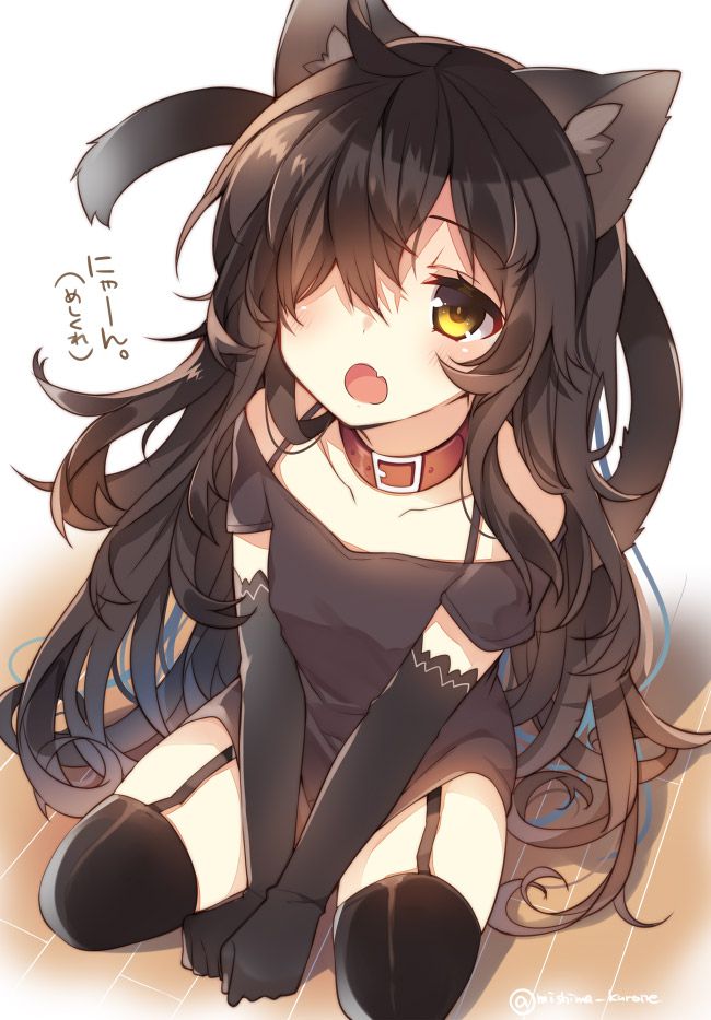 Please take erotic images that cute girls with 2D cat ears will sweeten! 42 sheets 12