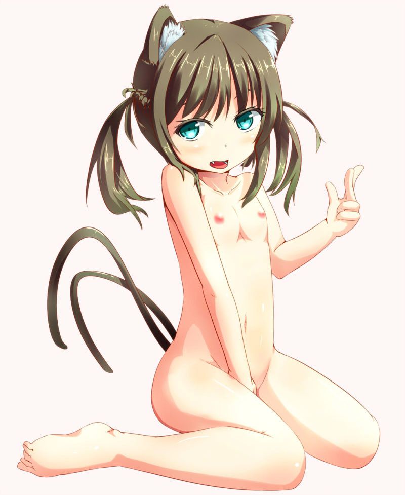 Please take erotic images that cute girls with 2D cat ears will sweeten! 42 sheets 15
