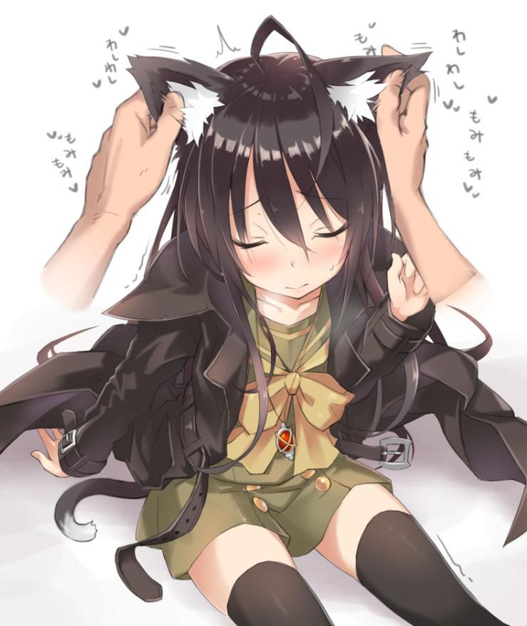 Please take erotic images that cute girls with 2D cat ears will sweeten! 42 sheets 16