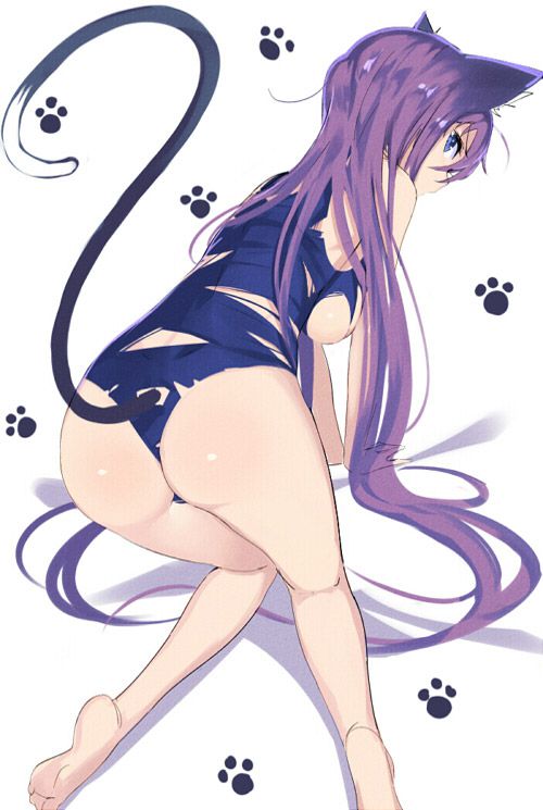 Please take erotic images that cute girls with 2D cat ears will sweeten! 42 sheets 26
