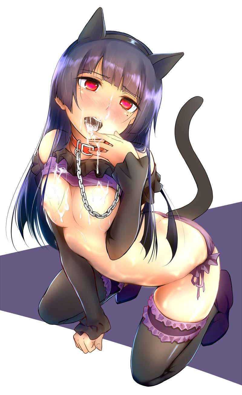 Please take erotic images that cute girls with 2D cat ears will sweeten! 42 sheets 29