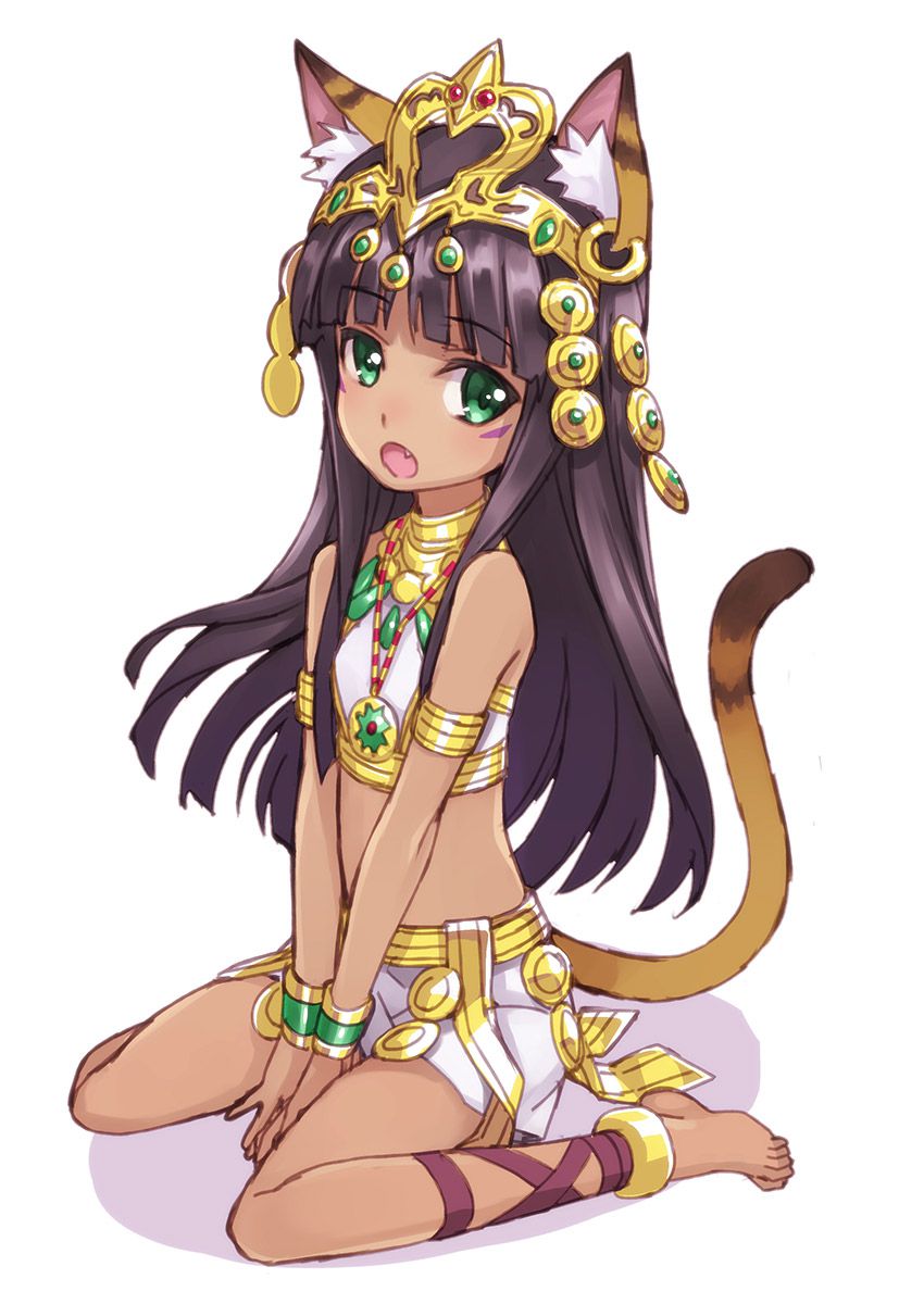 Please take erotic images that cute girls with 2D cat ears will sweeten! 42 sheets 30