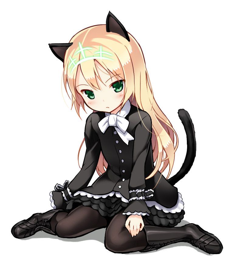 Please take erotic images that cute girls with 2D cat ears will sweeten! 42 sheets 4
