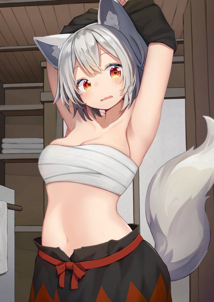 【Secondary】Silver Hair and Gray Hair Girl Image Part 4 13