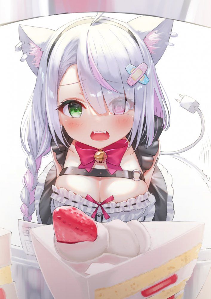 【Secondary】Silver Hair and Gray Hair Girl Image Part 4 2