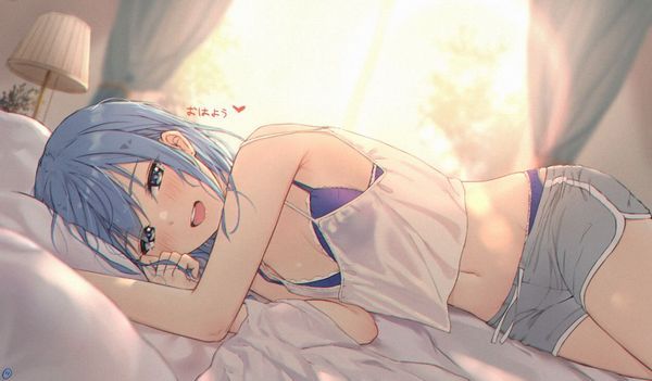 Virtual youtuber's erotic image folder will be released 4