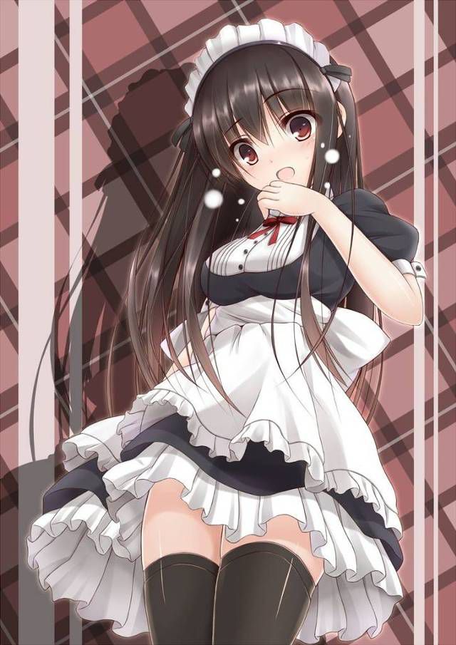 The maid's image is erotic, right? 11