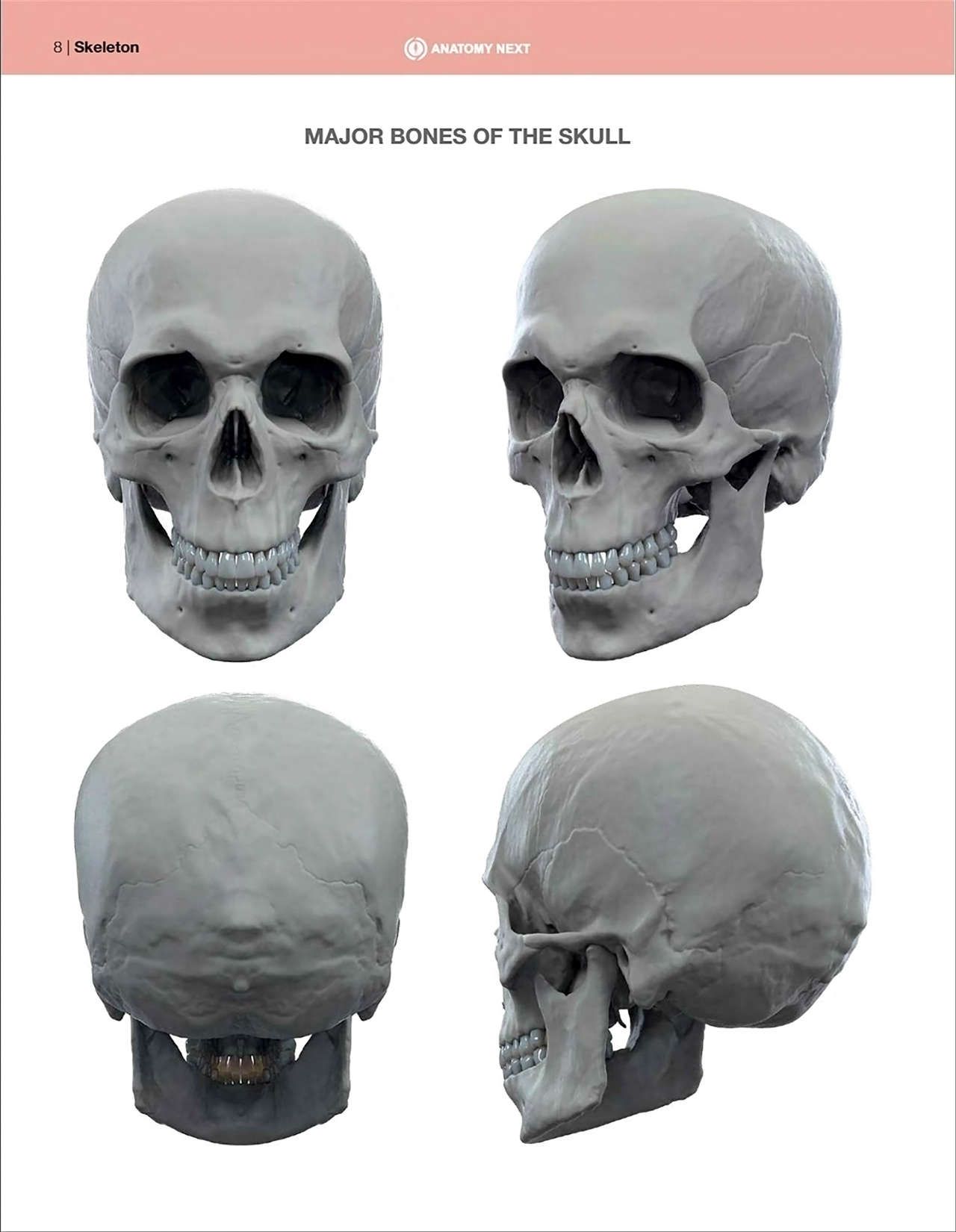 Uldis Zarins-Anatomy of Facial Expression-Exonicus [English] 面部表情艺用解剖 [英文版] 10