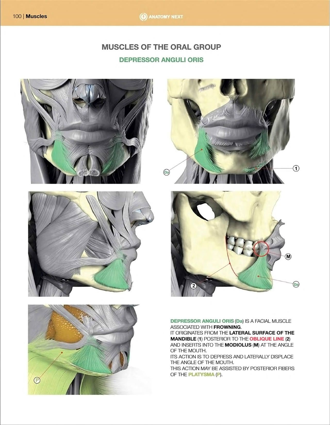 Uldis Zarins-Anatomy of Facial Expression-Exonicus [English] 面部表情艺用解剖 [英文版] 102