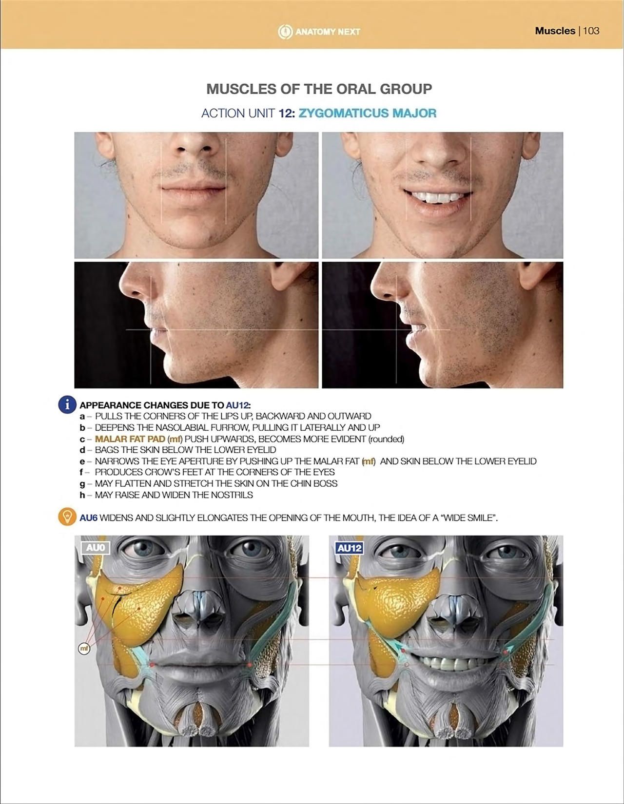 Uldis Zarins-Anatomy of Facial Expression-Exonicus [English] 面部表情艺用解剖 [英文版] 105