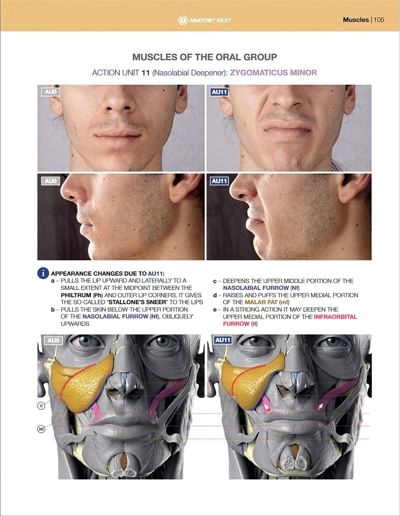 Uldis Zarins-Anatomy of Facial Expression-Exonicus [English] 面部表情艺用解剖 [英文版] 107