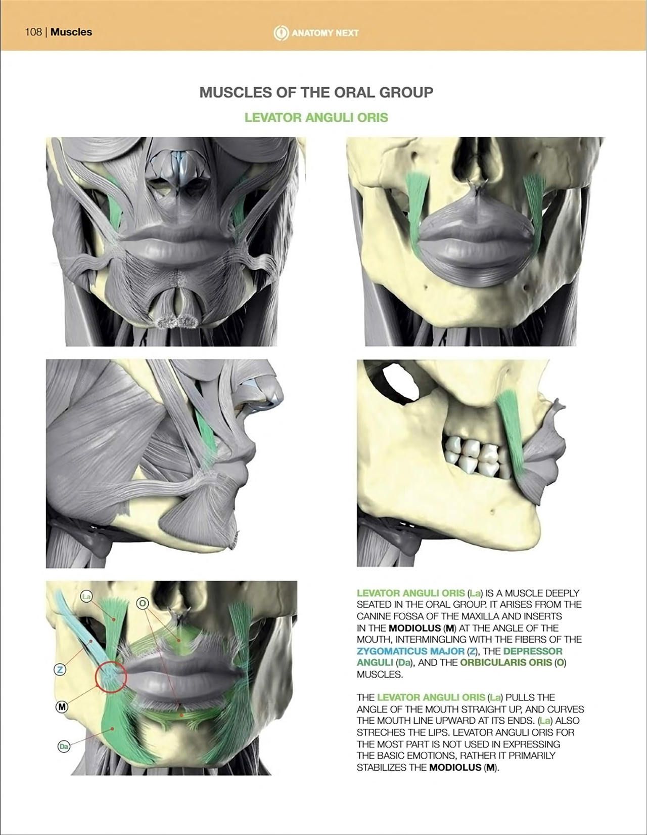 Uldis Zarins-Anatomy of Facial Expression-Exonicus [English] 面部表情艺用解剖 [英文版] 110