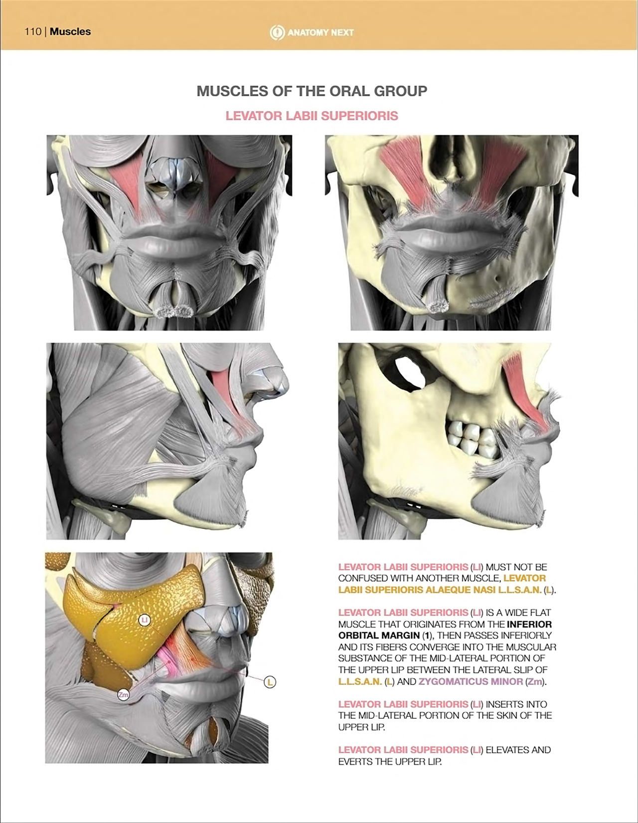 Uldis Zarins-Anatomy of Facial Expression-Exonicus [English] 面部表情艺用解剖 [英文版] 112