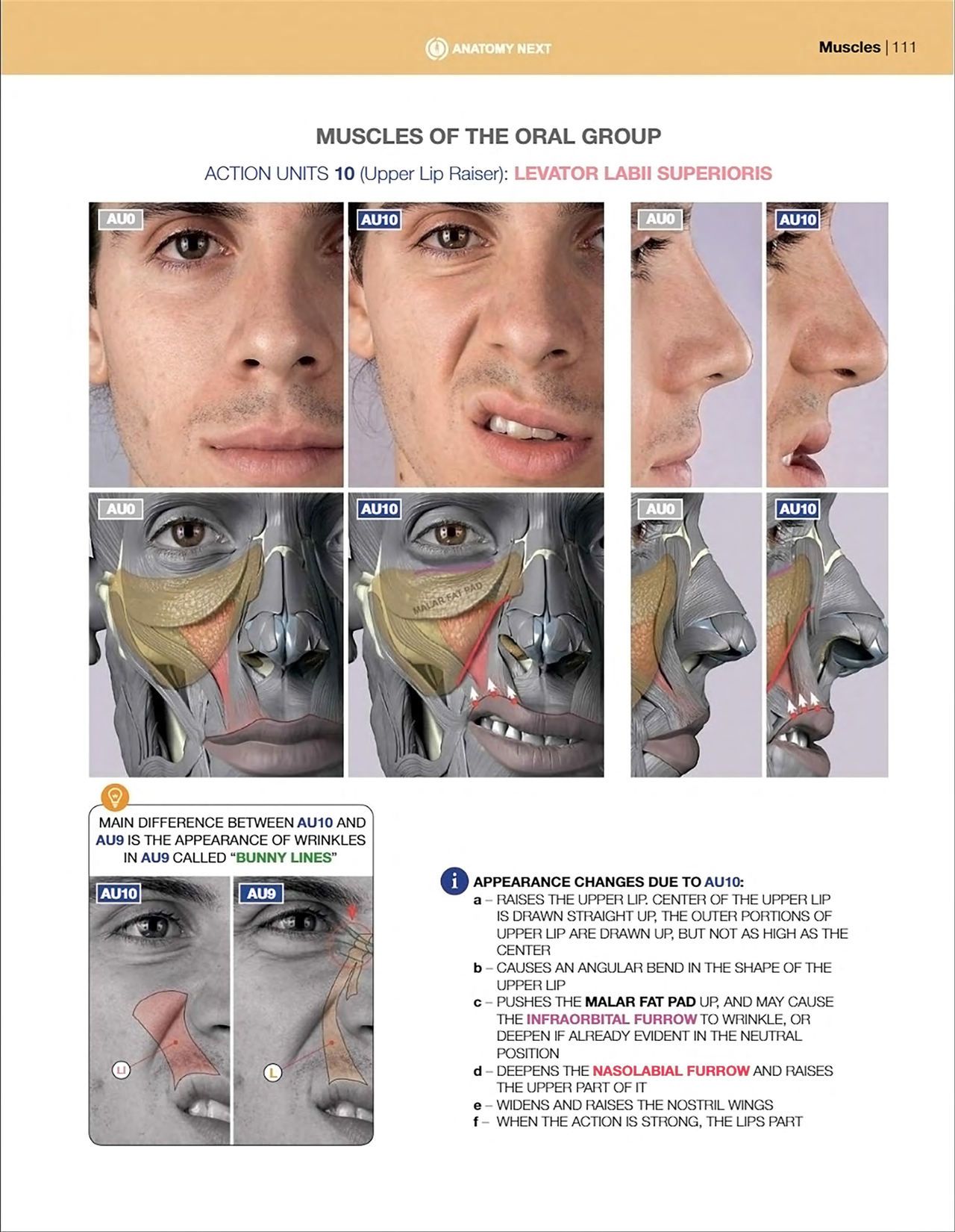 Uldis Zarins-Anatomy of Facial Expression-Exonicus [English] 面部表情艺用解剖 [英文版] 113