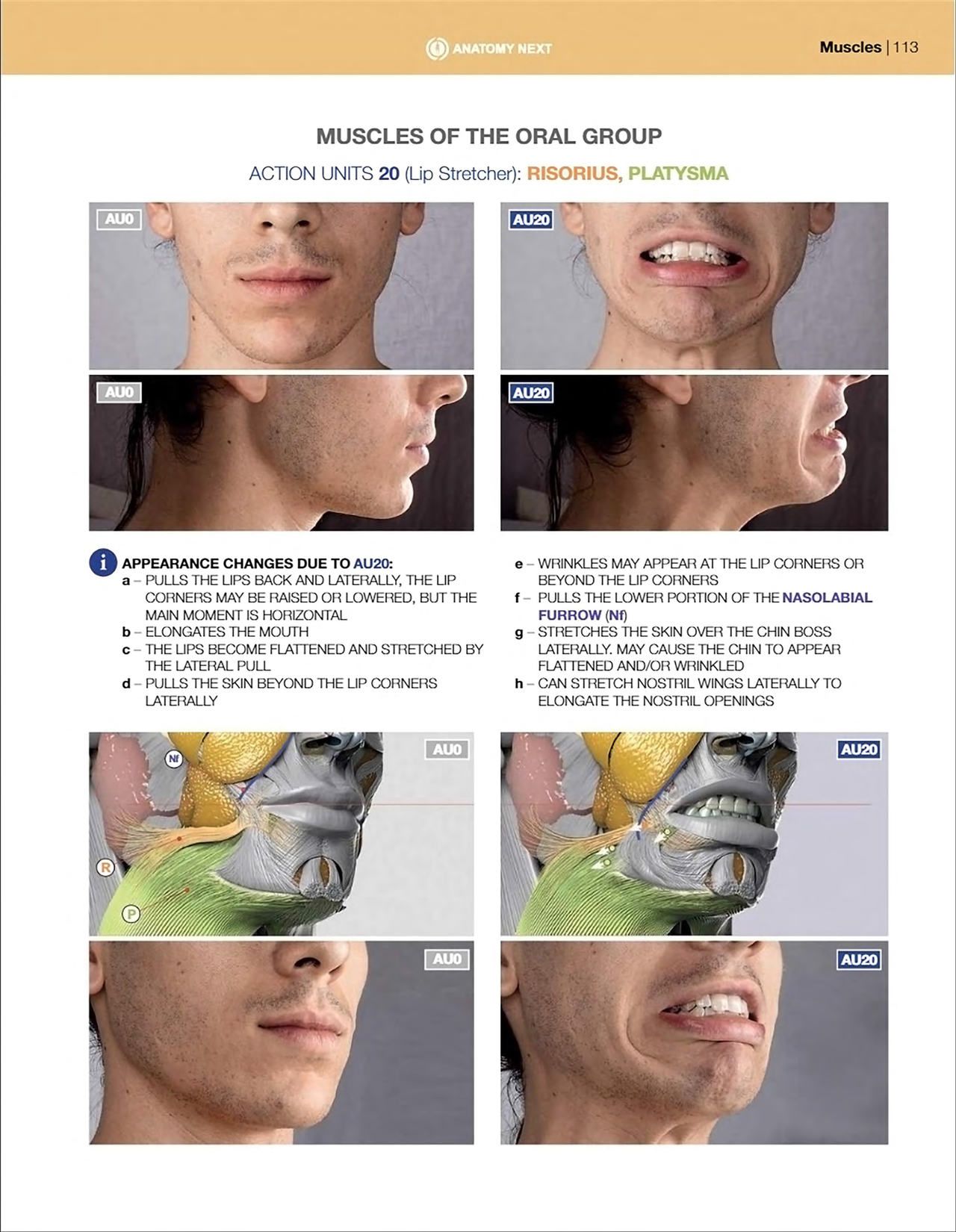 Uldis Zarins-Anatomy of Facial Expression-Exonicus [English] 面部表情艺用解剖 [英文版] 115