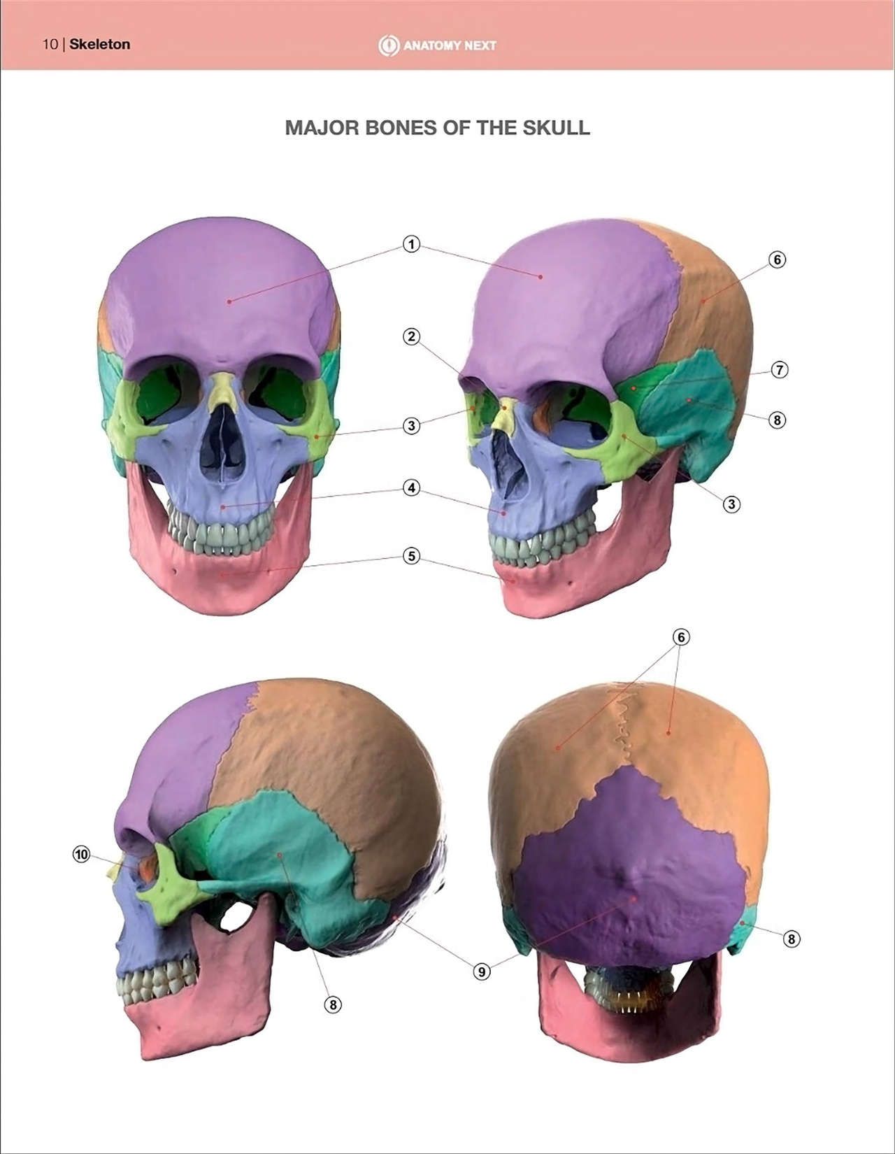 Uldis Zarins-Anatomy of Facial Expression-Exonicus [English] 面部表情艺用解剖 [英文版] 12
