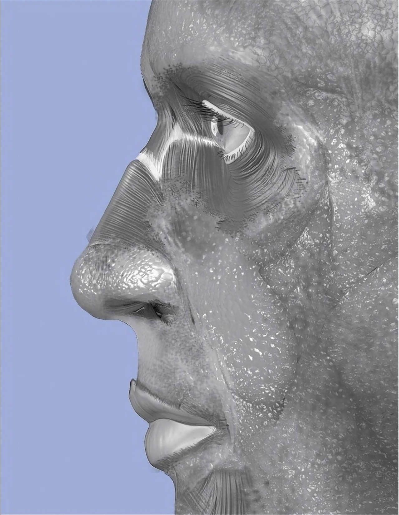 Uldis Zarins-Anatomy of Facial Expression-Exonicus [English] 面部表情艺用解剖 [英文版] 128