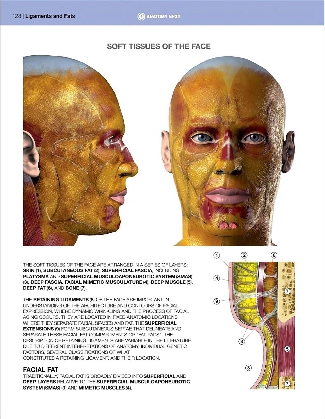 Uldis Zarins-Anatomy of Facial Expression-Exonicus [English] 面部表情艺用解剖 [英文版] 130