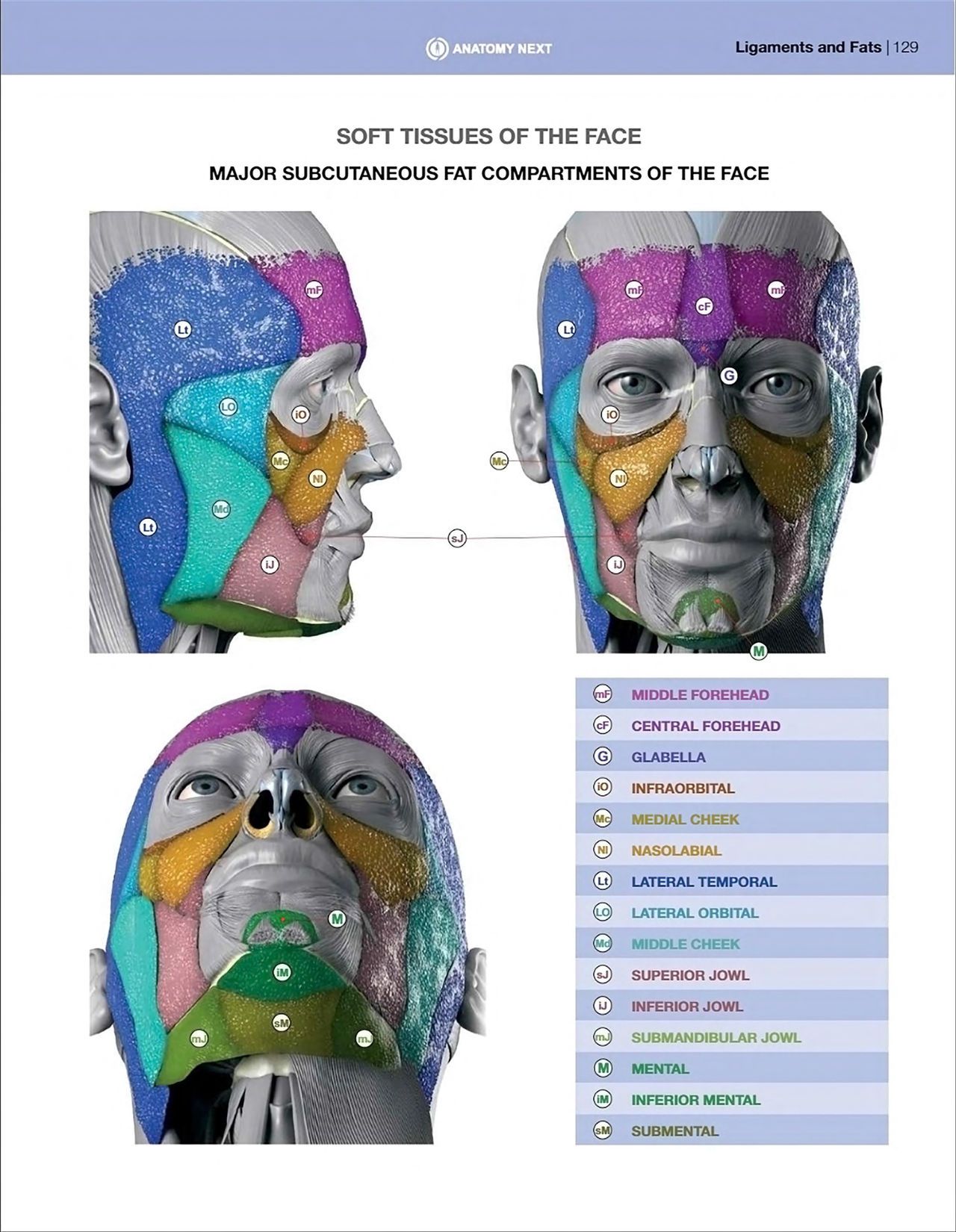 Uldis Zarins-Anatomy of Facial Expression-Exonicus [English] 面部表情艺用解剖 [英文版] 131