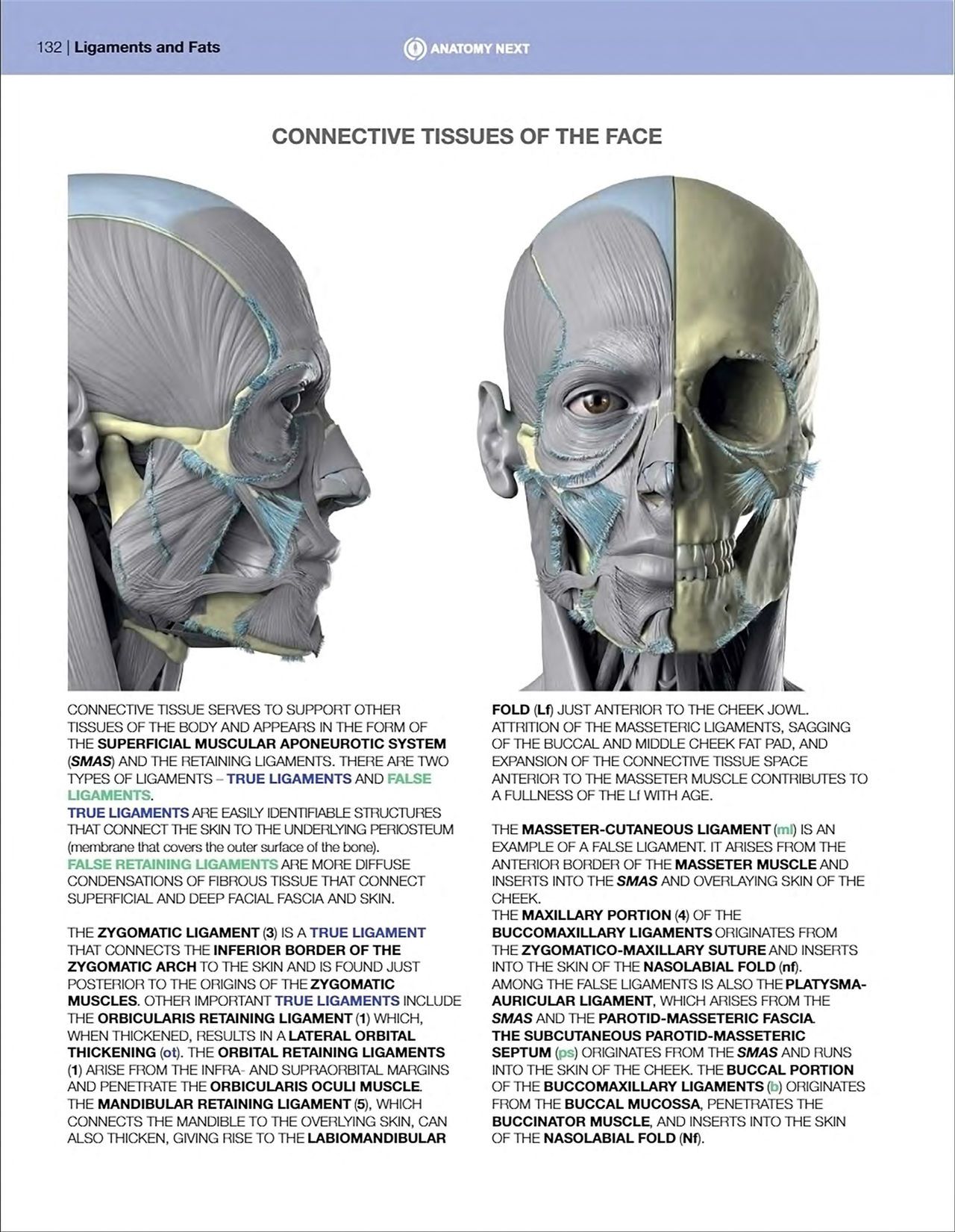 Uldis Zarins-Anatomy of Facial Expression-Exonicus [English] 面部表情艺用解剖 [英文版] 134