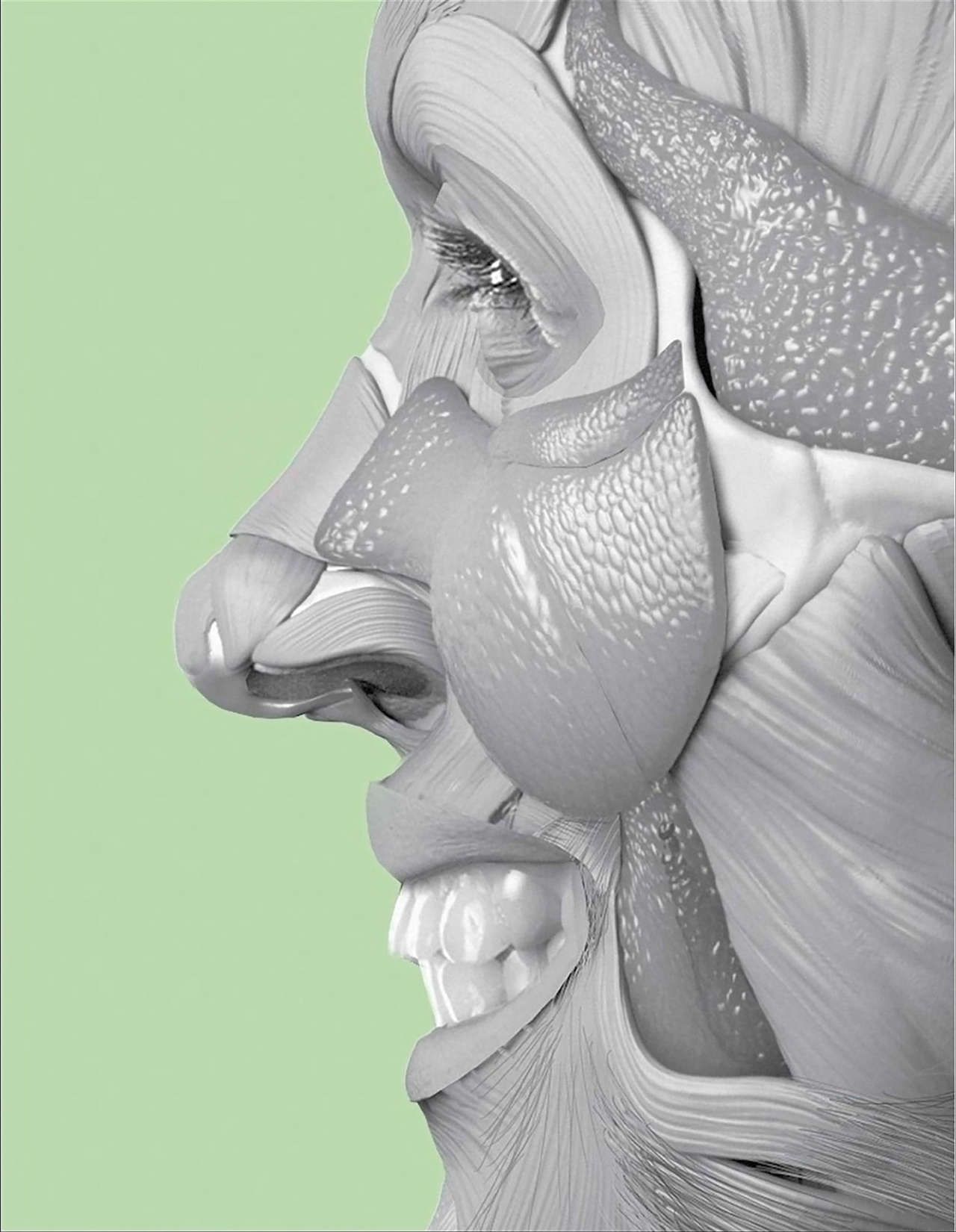 Uldis Zarins-Anatomy of Facial Expression-Exonicus [English] 面部表情艺用解剖 [英文版] 136