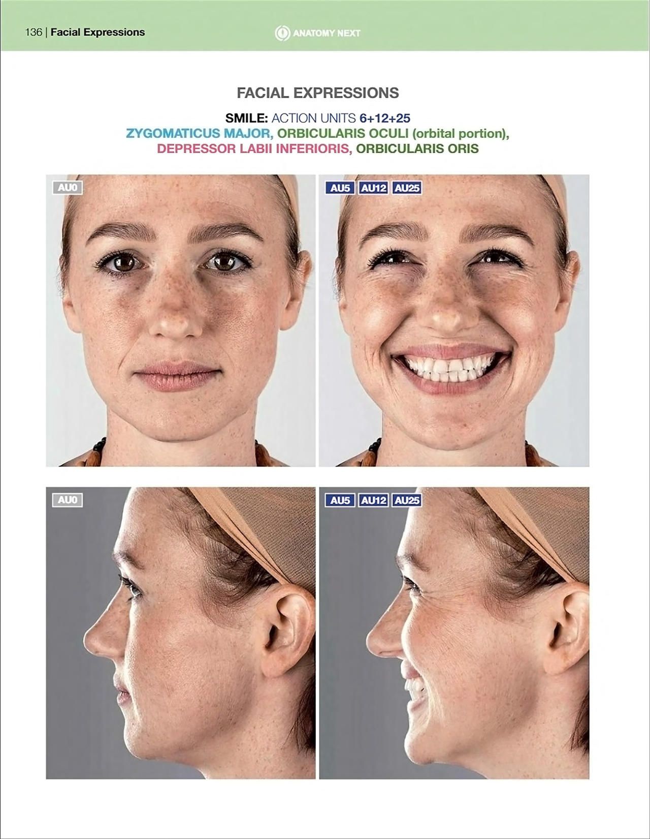 Uldis Zarins-Anatomy of Facial Expression-Exonicus [English] 面部表情艺用解剖 [英文版] 138
