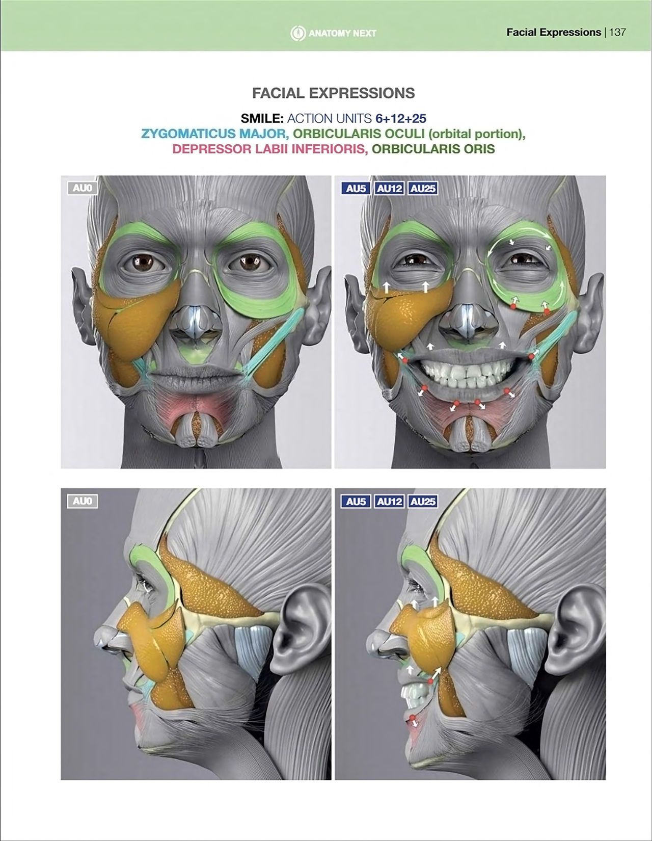 Uldis Zarins-Anatomy of Facial Expression-Exonicus [English] 面部表情艺用解剖 [英文版] 139