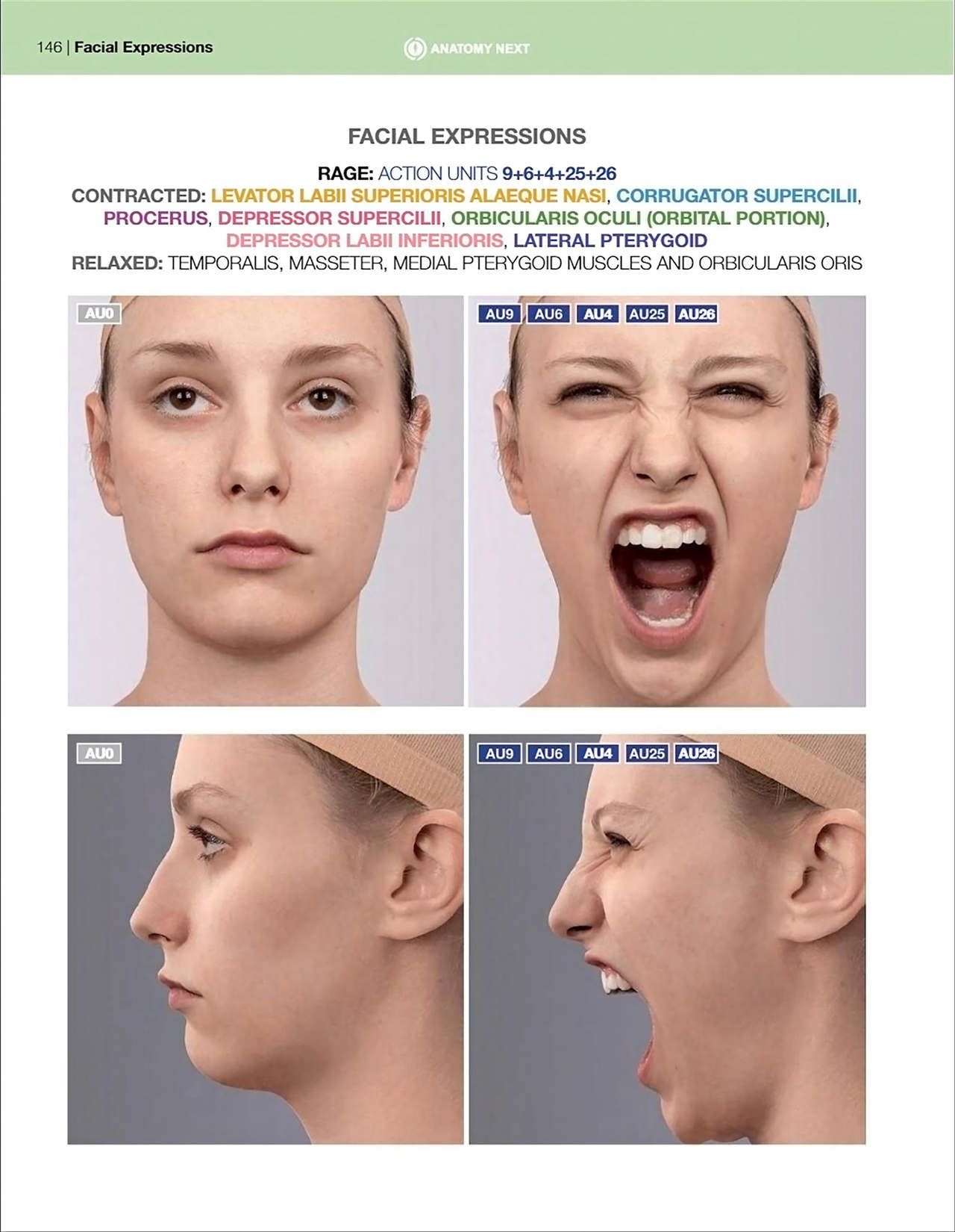 Uldis Zarins-Anatomy of Facial Expression-Exonicus [English] 面部表情艺用解剖 [英文版] 148