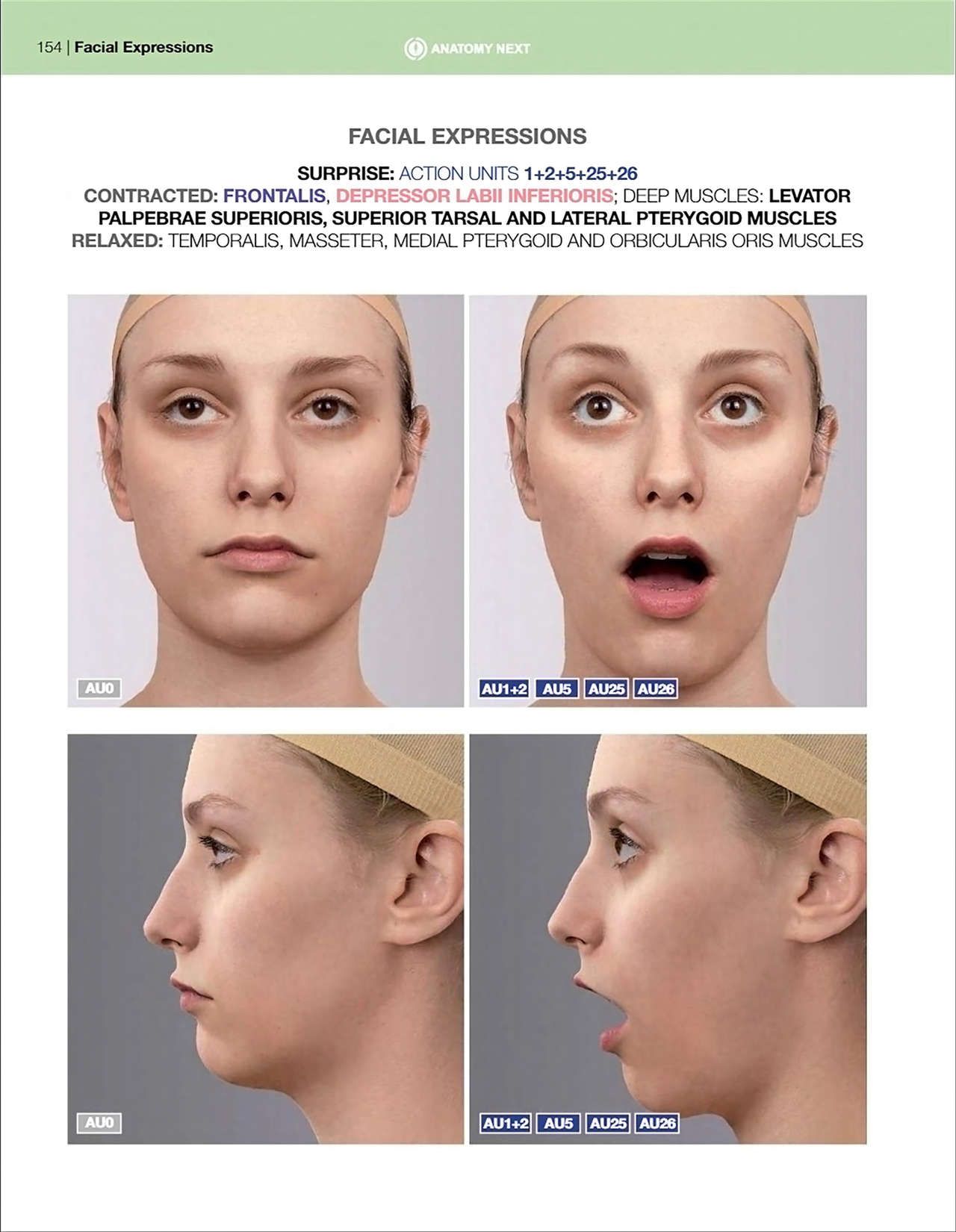 Uldis Zarins-Anatomy of Facial Expression-Exonicus [English] 面部表情艺用解剖 [英文版] 156