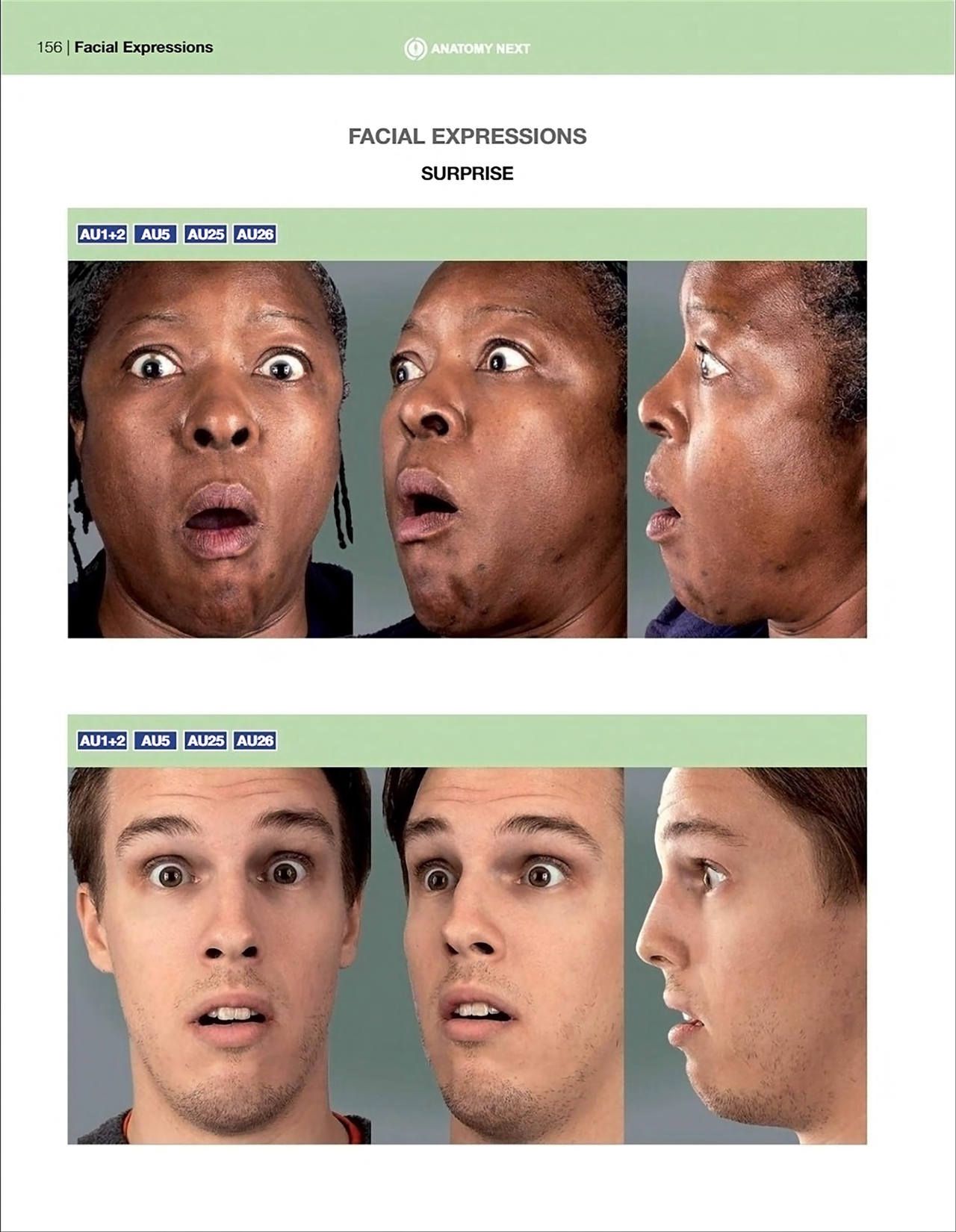 Uldis Zarins-Anatomy of Facial Expression-Exonicus [English] 面部表情艺用解剖 [英文版] 158