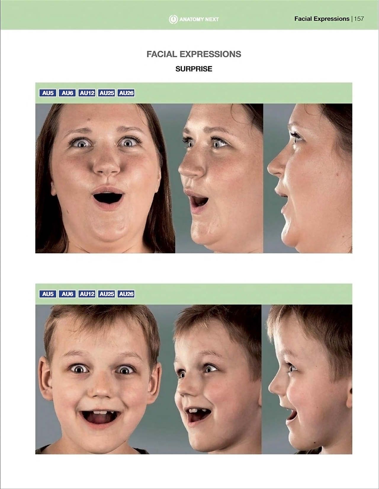 Uldis Zarins-Anatomy of Facial Expression-Exonicus [English] 面部表情艺用解剖 [英文版] 159